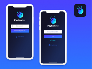 PayNowlink | An App for Stripe Checkout Developed by Us